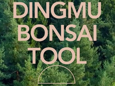 Dingmu USA